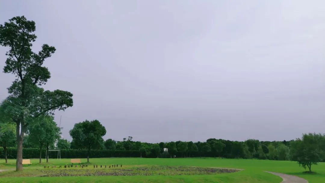 1688550667865243.jpg